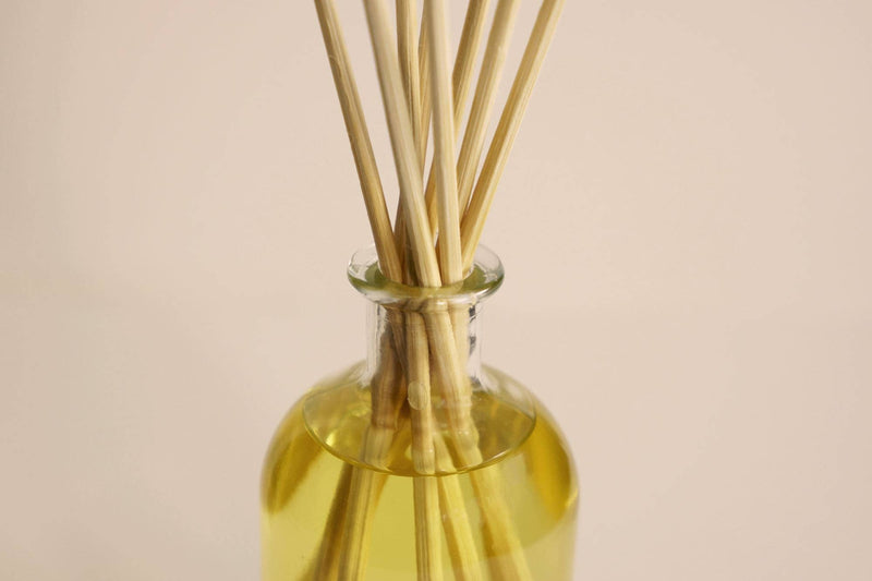 THE OLPHACTORY PALO SANTO REED AIR FRESHENER