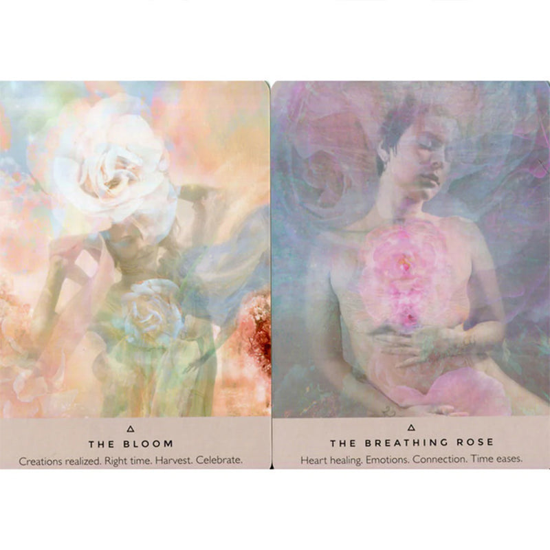 The Rose Oracle cards