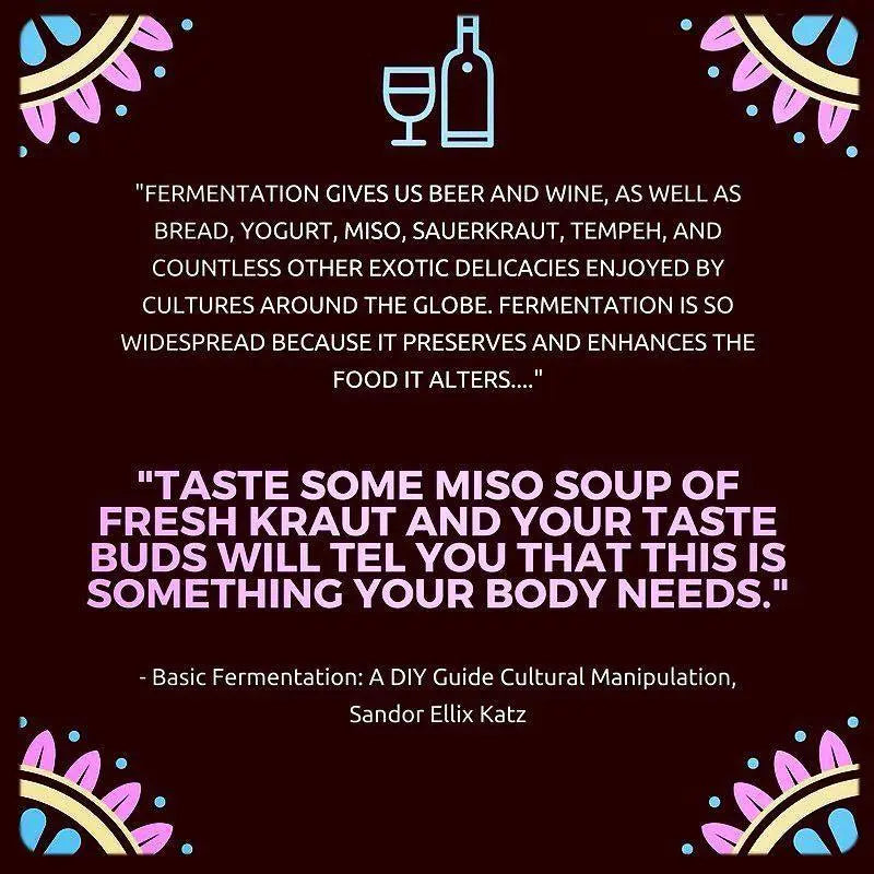 Basic Fermentation: A DIY Guide to Cultural Manipulation