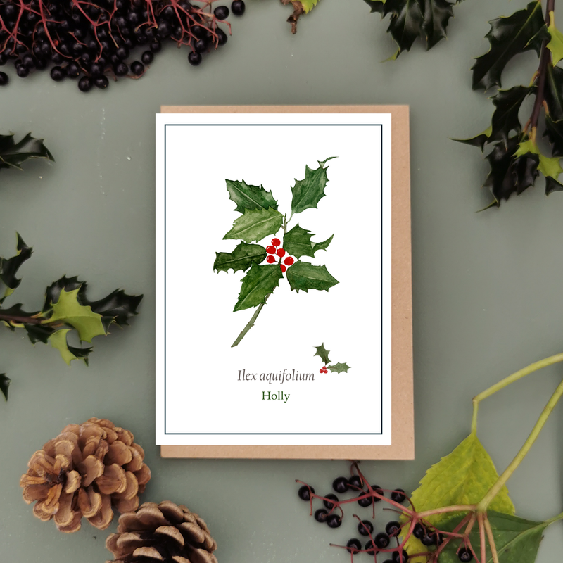 Botanical Holly Christmas Cards