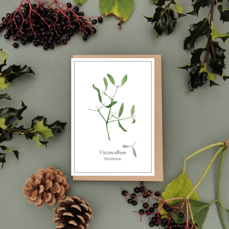 Botanical Mistletoe Christmas Cards